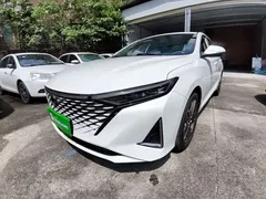 2023 Changan Raeton PLUS 1.5T DCT Premium, белый — фото 1