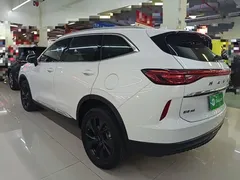 2021 Haval H6 2.0T AT 4WD Max, белый — фото 5