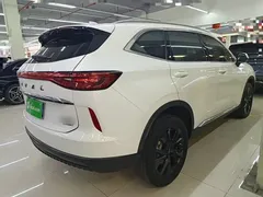 2021 Haval H6 2.0T AT 4WD Max, белый — фото 7