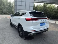 2023 Haval H6 1.5T AT, белый — фото 19