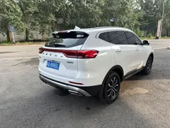 2023 Haval H6 1.5T AT, белый — фото 21