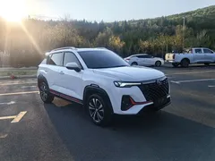 2022 Changan CS35 PLUS Blue Whale NE 1.4T DCT Luxury, белый — фото 3