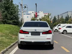 2022 BMW 5 Series 5 530Li xDrive, белый — фото 15