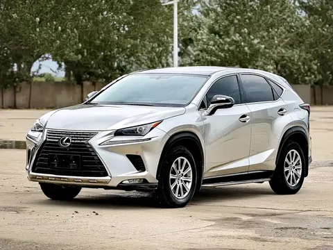 2020 Lexus NX 200 V