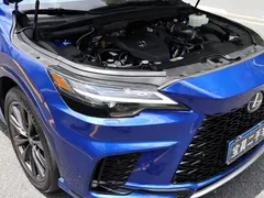 2023 Lexus RX 500h 4WD F SPORT Performance, синий — фото 10