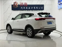 2021 Haval H6 1.5T AT, белый — фото 4
