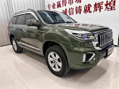 2022 Haval H9 2.0T 4WD Premium 5, зелёный — фото 3