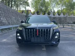 2023 Hongqi HS5 2.0T 4WD Pro, чёрный — фото 2