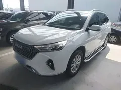 2021 Haval M6 Plus 1.5T DCT Luxury, белый — фото 1