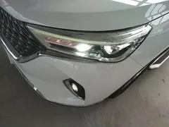 2021 Haval M6 Plus 1.5T DCT Luxury, белый — фото 24