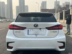 2020 Lexus CT CT200h Elite Monochrome — фото 8