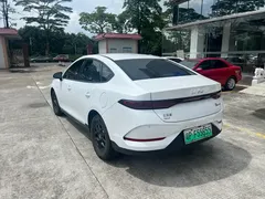 2024 BYD Qin PLUS 55KM, белый — фото 7