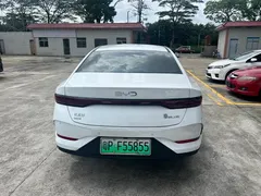 2024 BYD Qin PLUS 55KM, белый — фото 8