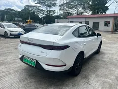 2024 BYD Qin PLUS 55KM, белый — фото 9