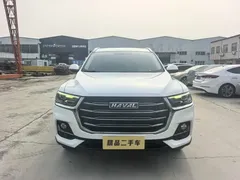 2021 Haval H6 1.5T AT Guochao Urban, белый — фото 2