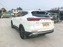 2021 Haval H6 1.5T AT Guochao Urban, белый — фото 7
