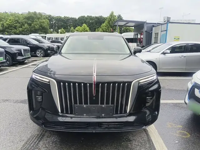 2021 Hongqi E-HS9 460km