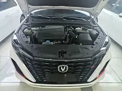 2023 Changan Eado PLUS 1.4T GDI DCT Premium, белый — фото 10