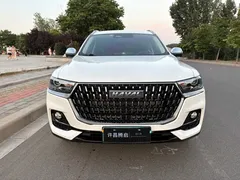 2023 Haval H6 1.5T AT Guochao Champion, белый — фото 2