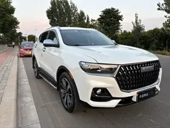 2023 Haval H6 1.5T AT Guochao Champion, белый — фото 3