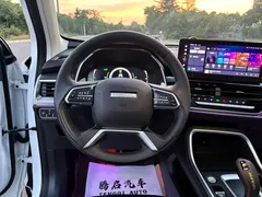2023 Haval H6 1.5T AT Guochao Champion, белый — фото 19