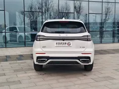 2023 Hongqi HS5 2.0T Pro, белый — фото 5