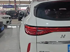 2022 Haval H6 1.5T AT 2WD Max, белый — фото 13