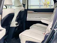 2021 Hyundai Paristi 3.5L AT 4WD GLS — фото 20