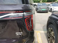2024 Hongqi HQ9 2.0T 4WD — фото 8