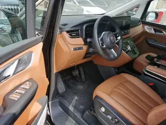 2024 Hongqi HQ9 2.0T 4WD — фото 16