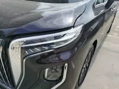 2024 Hongqi HQ9 2.0T 4WD — фото 24