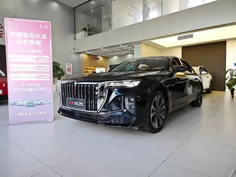2024 Hongqi H9 2.0T Fashion