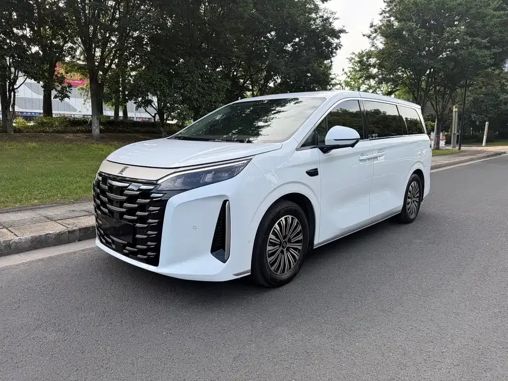 2025 BYD Xia 1.5T 100km