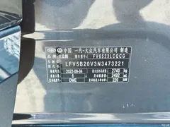2023 Volkswagen Lanjing modified 530TSI 4WD flagship Shengjing Pro 6 seats — фото 12
