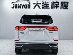 2023 Haval M6 Plus 1.5T DCT Luxury, белый — фото 5