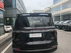 2024 Hongqi HQ9 2.0T 4WD Luxury, чёрный — фото 11