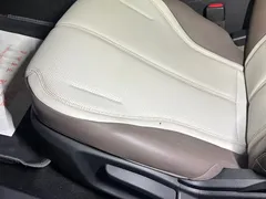 2025 BYD Seal 05 PLUS DM-i 55KM — фото 12