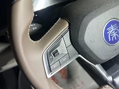 2025 BYD Seal 05 PLUS DM-i 55KM — фото 16