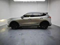 2021 Haval Chitu 1.5T — фото 6