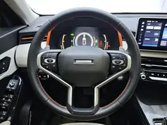 2021 Haval Chitu 1.5T — фото 11