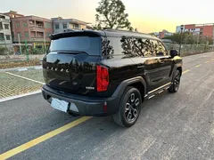 2022 Haval Cool Dog 1.5T DCT 2WD Chaodong, чёрный — фото 26