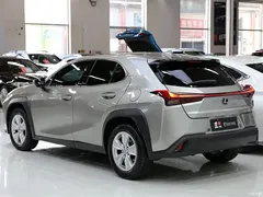 2020 Lexus UX 200 Special — фото 19