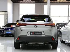 2020 Lexus UX 200 Special — фото 20