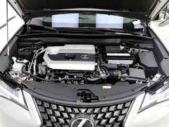 2020 Lexus UX 200 Special — фото 21