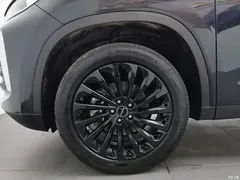 2021 Exeed Xingtu Lingyun 400T 2WD Xingrui PRO — фото 17