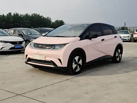 2023 BYD Dolphin 420km Fashion