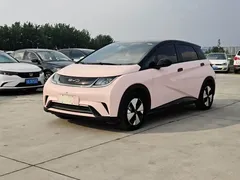 2023 BYD Dolphin 420km Fashion — фото 1