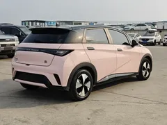 2023 BYD Dolphin 420km Fashion — фото 14