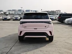 2023 BYD Dolphin 420km Fashion — фото 16