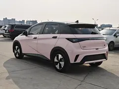 2023 BYD Dolphin 420km Fashion — фото 17